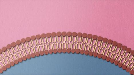 Fluid mosaic model of the cell membrane