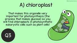 Cell Organelles & Structures: Before the Bell Biology Instructional Video