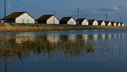 Ares, Gironde, Nouvelle Aquitaine, France Stock Footage