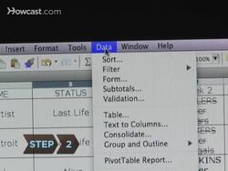 How to Alphabetize in Excel Instructional Video