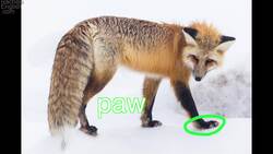 Think in English Flashcards Instructional Video