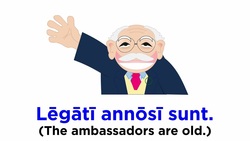 The Irregular Verb “To Be” (Sum-Esse-Fuī) with Predicate Instructional Video