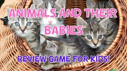 Animals And Their Babies | Review Quiz For Kids | 4K Instructional Video