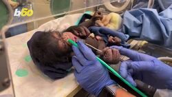 Is This The Best Animal Embrace Ever Captured on Video? Instructional Video