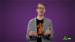 You, a Dog, and an Elephant All Pee for 21 Seconds Instructional Video