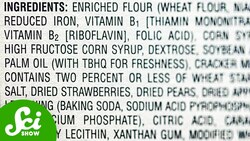 How Safe Are Food Preservatives, Really? Instructional Video