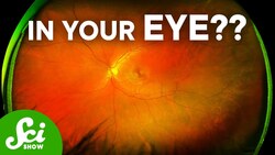 Retinal Scanning is Changing Healthcare Instructional Video