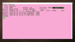 How to use the stat command: 2-Minute Linux Tips Instructional Video