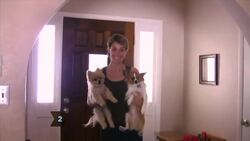 How to Be a Good Houseguest Instructional Video