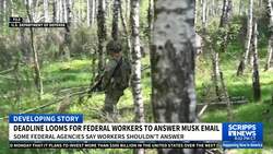 Trump and Musk's job cuts threaten veterans in the federal workforce News Clip