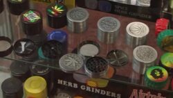 CLEAN : Uruguay hosts cannabis fair seeking to increase foreign trade News Clip