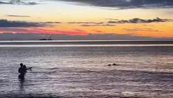 #TheMoment a sea lion lunged at cold plungers News Clip