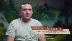 Why This Unusual Pattern May Save the Rainforests Instructional Video