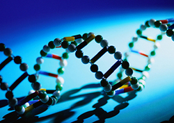 What is DNA? Instructional Video