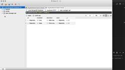Working with Timestamps Instructional Video