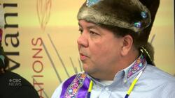Manitoba First Nations seek billions in damages over Winnipeg sewage spill News Clip