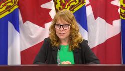 New housing development area faces opposition News Clip