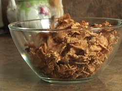 ¿Qué necesitan los seres vivos?: alimento Instructional Video