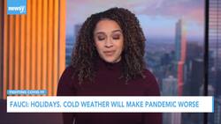 U.S. Health Officials Continue To Warn Against Holiday Travel News Clip