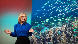 A new lifeline for the world's coral reefs | Theresa Fyffe Instructional Video