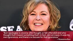 In Tearful Interview, Roseanne Barr Discusses Racist Tweet & ABC Firing | THR News News Clip