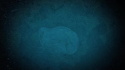 Scientists shocked to find strange creatures deep under ice Instructional Video