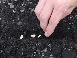 Suelo y rocas: recapitulando Instructional Video