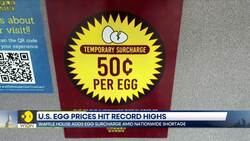 US egg prices hit record highs ; Americans turn to backyard chickens News Clip