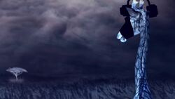 Giraffe Rescue and Conservation Efforts Instructional Video