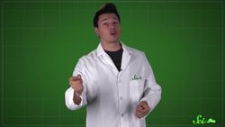 SciShow Quiz Show: Katelyn Salem vs. Hank Green Instructional Video