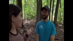 Wildlife experts: Coyote spottings on the up in the Bronx News Clip