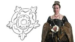 Henry VII's children Instructional Video