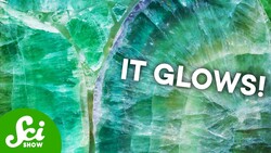 Why Things Look That Way Under a Blacklight Instructional Video