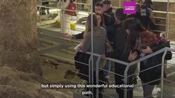 'City of the dead': Vatican Museums opens ancient Roman necropolis to the public News Clip