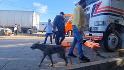 CLEAN : 'Fix it' with money: Nicaraguan migrants run into Honduran graft News Clip