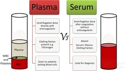 Plasma Vs serum Vs antiserum Instructional Video