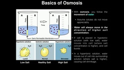 A&P I Lab | Exercise 3a: Diffusion, Osmosis, & Diffusion Rate Instructional Video
