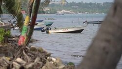 Fishing boats moored and rubbish on beach in Grenada News Clip