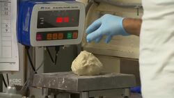 AI could affect 800,000 Quebec jobs, new study shows. Here's who might be at risk News Clip