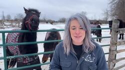 How Newfoundland ponies brought these two lovebirds together News Clip