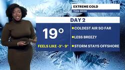 BITTER BLAST: Extreme cold continues with highs near 19 degrees for Brooklyn News Clip