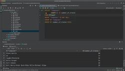 Job-Ready SQL in an Afternoon - Grouping and Filtering Aggregations Instructional Video
