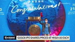 GogoX CEO: Optimistic About Chinese Market News Clip