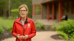 Permit for rehab centre northeast of Saint John is revoked after neighbours complain News Clip