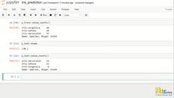 Iris Flower Classification Model Instructional Video