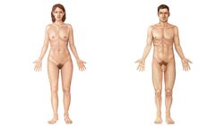 Lateral vs Medial Instructional Video