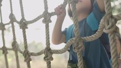 High Five Facts - Joints Instructional Video