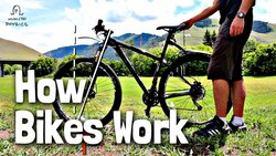 How Do Bikes Stay Up? Instructional Video