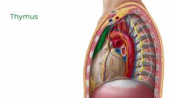 Heart in situ Instructional Video