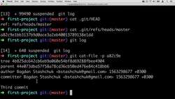 Complete Git Guide: Understand and Master Git and GitHub - Git Repository Changes after a Third Commit Instructional Video